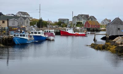 20250905_130217.jpg