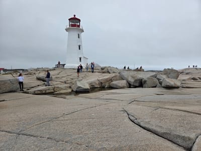 20250905_132612.jpg
