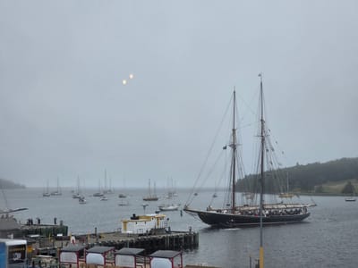 20250907_092959.jpg