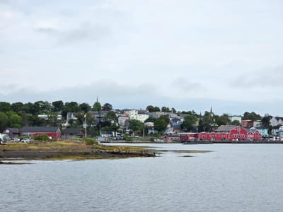 20250907_113535.jpg