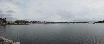 20250907_113554.jpg