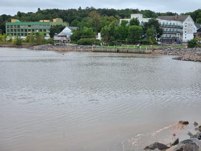20250907_133641.jpg