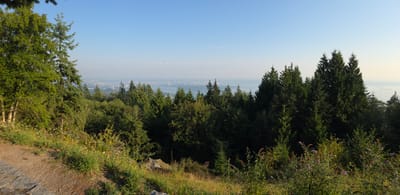 20250829_180716.jpg