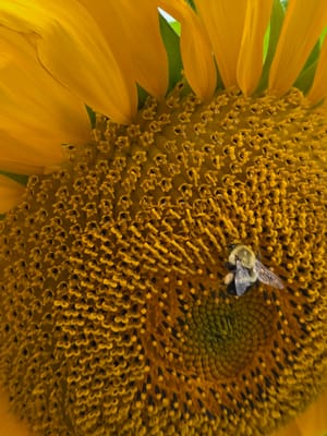 20250830_155902.jpg