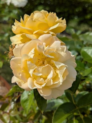 PXL_20251113_044556446.jpg