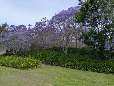 PXL_20251113_045741625.jpg
