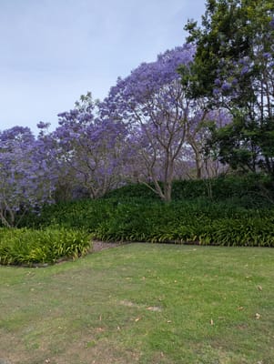 PXL_20251113_045753066.jpg
