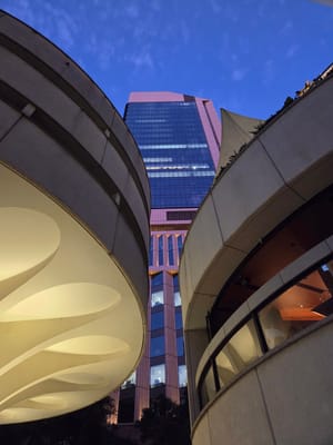 20250419_174635.jpg
