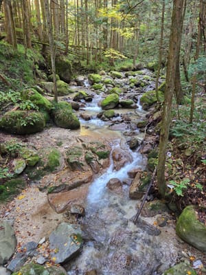 20251107_114409.jpg