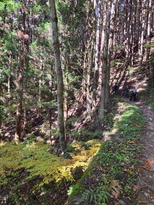 20251108_112949.jpg