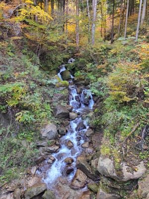 20251108_122427.jpg