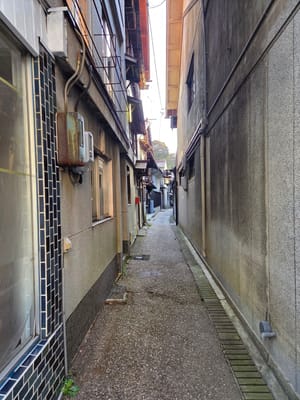 20251108_153039.jpg