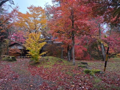 20251109_163241.jpg