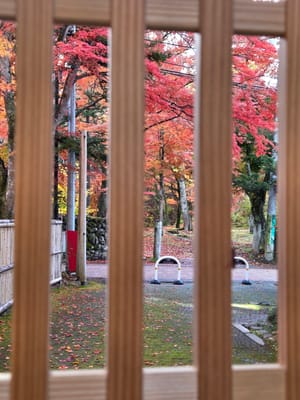 20251110_081604.jpg