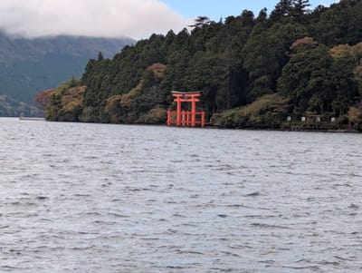 .trashed-1764990875-PXL_20251101_042223453.jpg