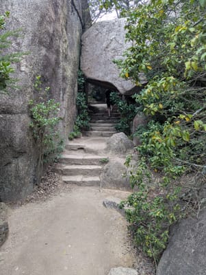 PXL_20251026_032213478.jpg