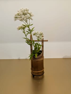 PXL_20251028_040552265.jpg