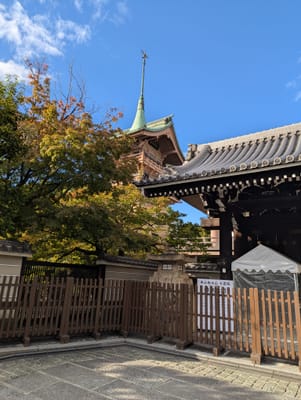 PXL_20251028_055526608.jpg