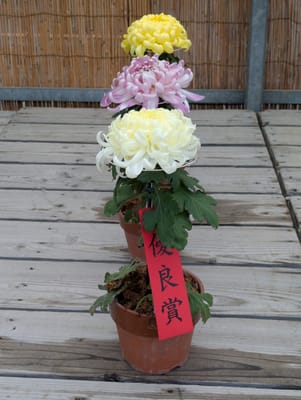 PXL_20251105_053404164.jpg