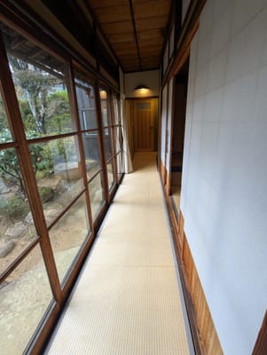 PXL_20251106_054826933.jpg
