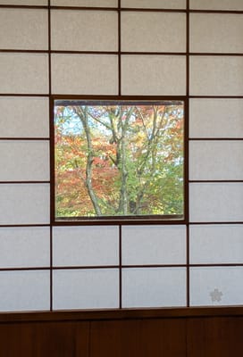 PXL_20251106_055511217.jpg