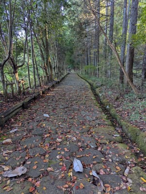 PXL_20251106_234951536.jpg