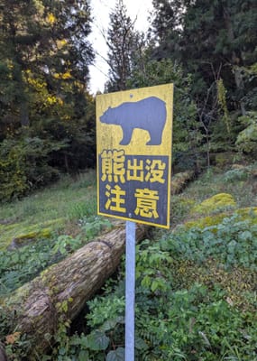 PXL_20251107_001047426.jpg