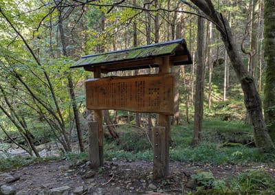 PXL_20251107_023126086.jpg