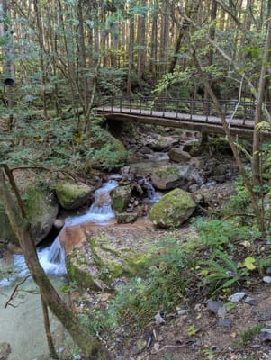 PXL_20251107_024239795.jpg