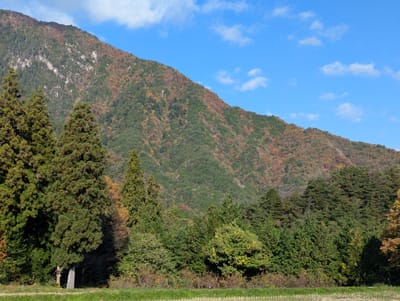 PXL_20251108_002058836.jpg