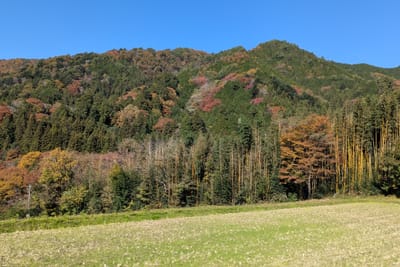 PXL_20251108_014254327.jpg