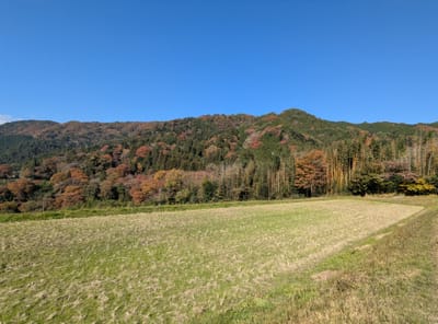 PXL_20251108_014258036.jpg