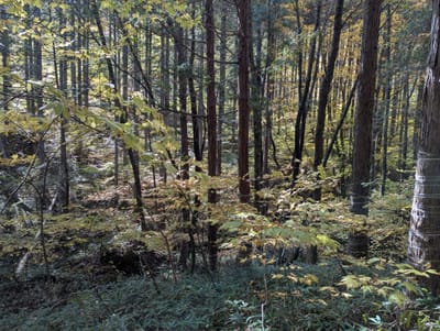 PXL_20251108_031403895.jpg