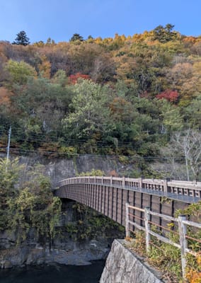 PXL_20251108_062348020.jpg