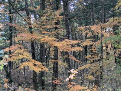 PXL_20251109_235922842.jpg