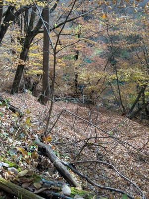 PXL_20251110_005647153.jpg