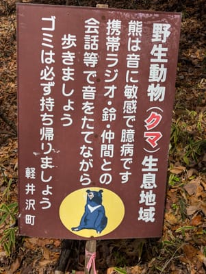 PXL_20251110_005720242.jpg