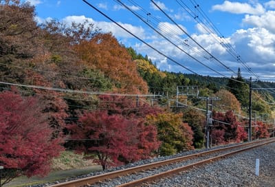 PXL_20251110_031024125.jpg