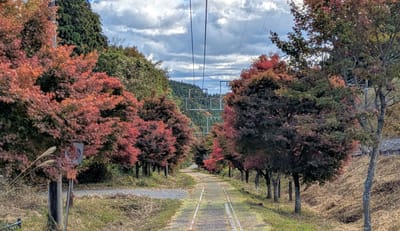 PXL_20251110_031328883.jpg