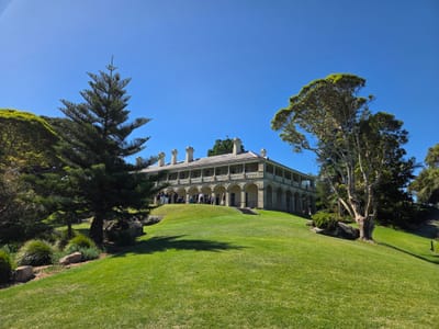 20251203_153624.jpg