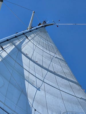 20250727_105208.jpg