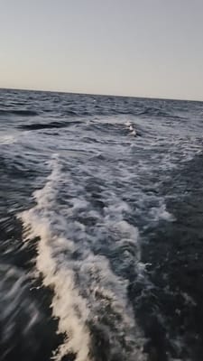 20250728_061009.mp4