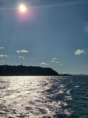 20250728_151645.jpg