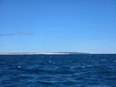 20250802_114146.jpg