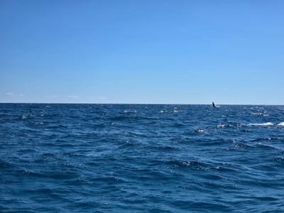 20250802_125756(0).jpg