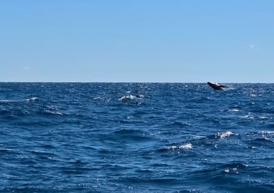 20250802_125756(1).jpg