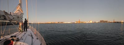20250804_061401.jpg