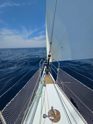 20251206_121345.jpg