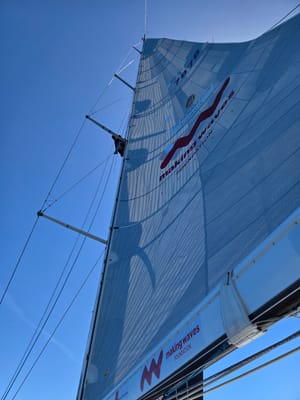 20251228_152001.jpg