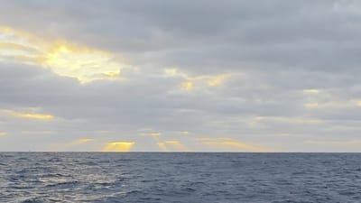 20251229_054900.mp4